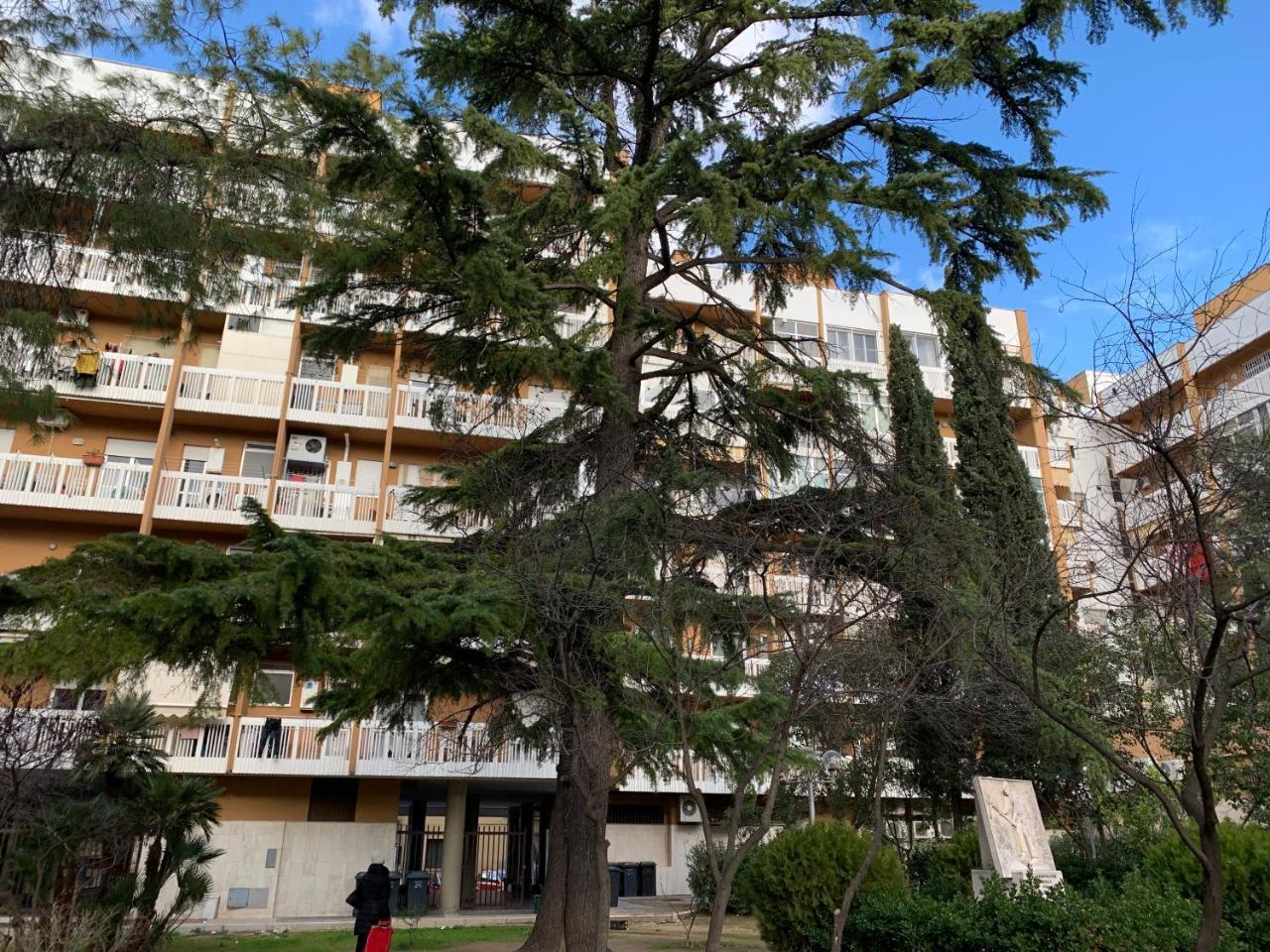 קנוסה די פוליה Agora B&B Urban Relais מראה חיצוני תמונה